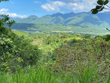 永慶本華~瑞穗鄉舞鶴美景飽滿柚子果園農地｜花蓮縣瑞穗鄉舞鶴