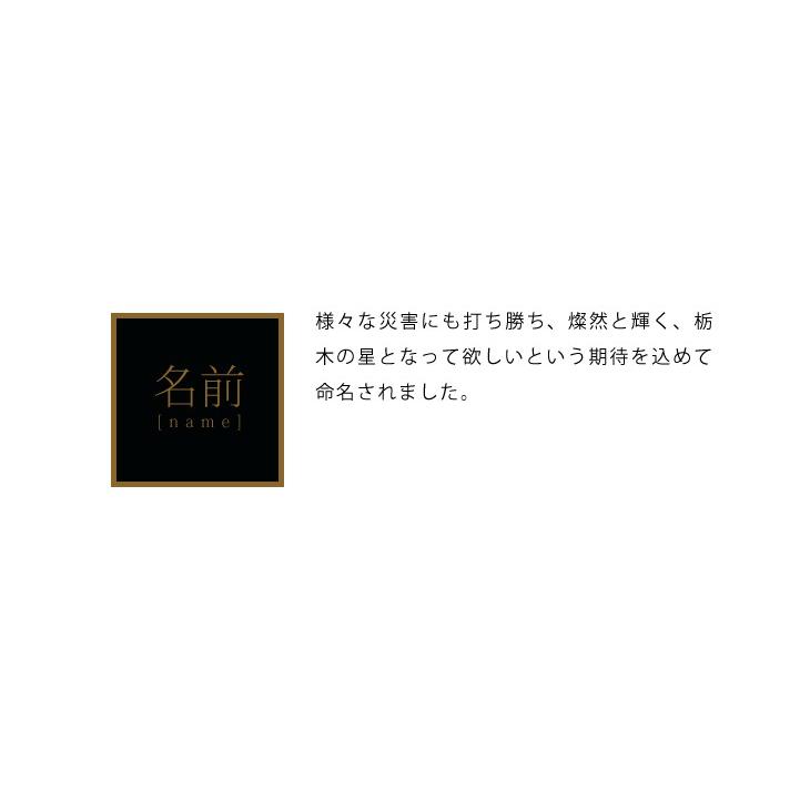 新米 令和5年 25kg とちぎの星 米 お米 栃木県産 5kg×5袋 まとめ買い 業務用米 送料別