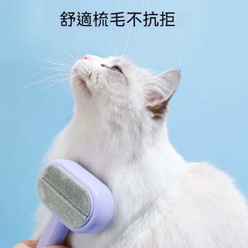 熱銷 寵物梳子 貓咪梳子 狗狗自潔梳 雙面自潔梳 寵物浮毛梳 去浮毛 貓咪針梳 狗梳子 寵物脫毛梳 寵物用品 貓咪自潔梳