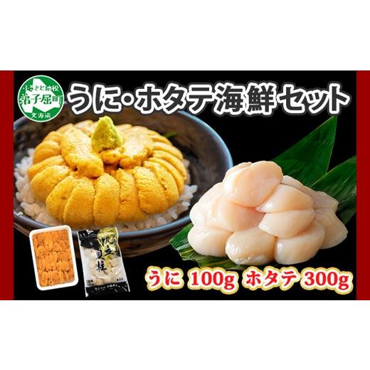 ふるさと納税 北海道 弟子屈町 1662. うに チリ産 冷凍 100g ホタテ 300g セット ファミリー ウニ 雲丹 ほたて 生ほたて 帆立 貝柱 貝 冷凍 海鮮 海鮮丼 送料…