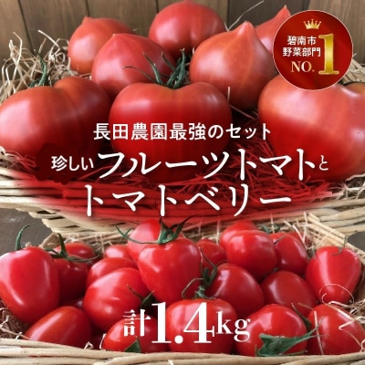  ファーストトマトトマトベリー 計1.4kg(3月～5月で発送)　H004-149