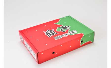 No.272 光姫プレミアム（イチゴ）約1.2kg～約1.4kg（4パック）