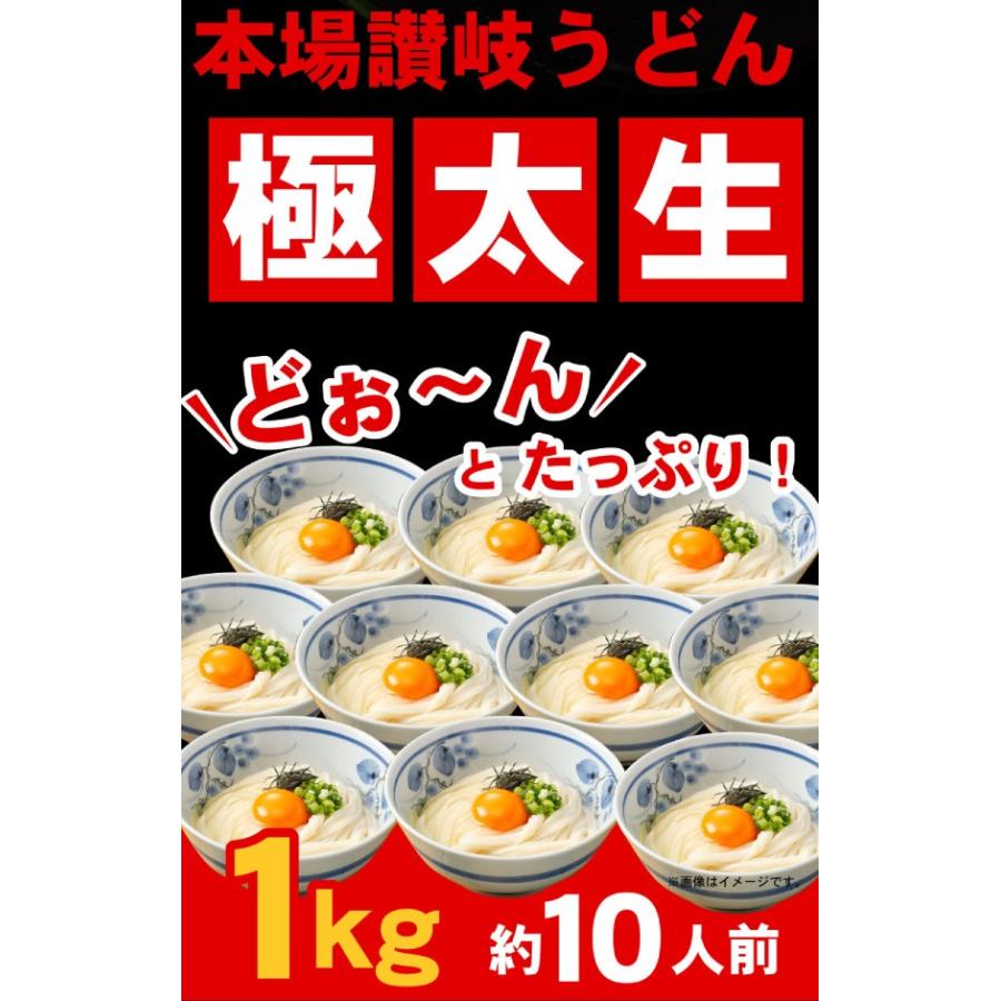 期間限定 本場讃岐うどん 極太生麺 1000g どぉ〜んと1kg！約10人前 ポスト投函便での配送(代金引換-後払い不可・着日指定不可)