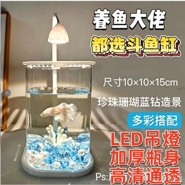 🔥創意造景缸 網紅玻璃小魚缸 冰晶石魚缸 桌面 擺件 創意生態鬥魚缸 珍珠碎磚景觀缸 客廳房間 裝飾造景 高透玻璃
