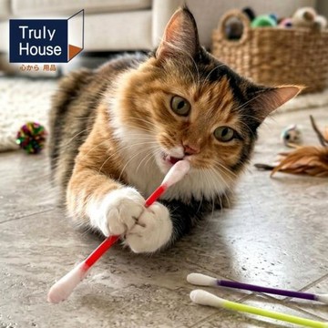 Truly House 棉花逗貓玩具 15cm 超值六入組 逗貓棒 毛孩 貓咪