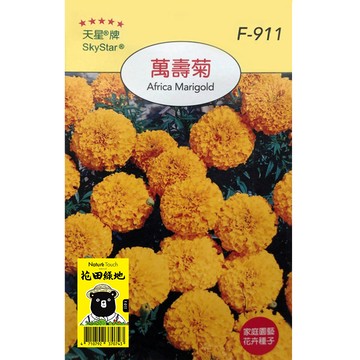 花田綠地種子-萬壽菊