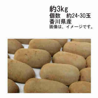 送料無料 香緑キウイスイート16 香川 約3kg 約24-30玉入