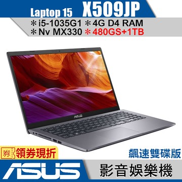 ASUS 華碩 X509 X509JP 灰 480G SSD+1TB飆速特仕版【15.6吋/Buy3c奇展】蝦皮官方嚴選
