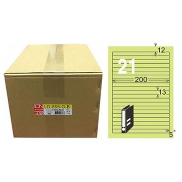 【龍德】A4三用電腦標籤 13x200mm 淺綠色1000入 / 箱 LD-855-G-B【APP滿額下單10%點數(單一帳號最高5000點)】1/31止