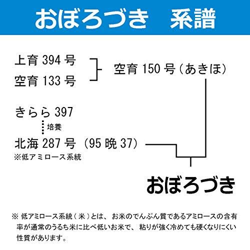 おぼろづき玄米　30kg　令和４年産　北海道産