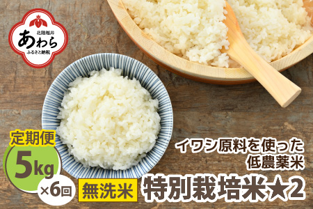 《定期便6回》特別栽培米 コシヒカリ 5kg × 6回 （計30kg） 無洗米 低農薬   福井県 あわら市 ブランド米 白米 お米 コメ 新米