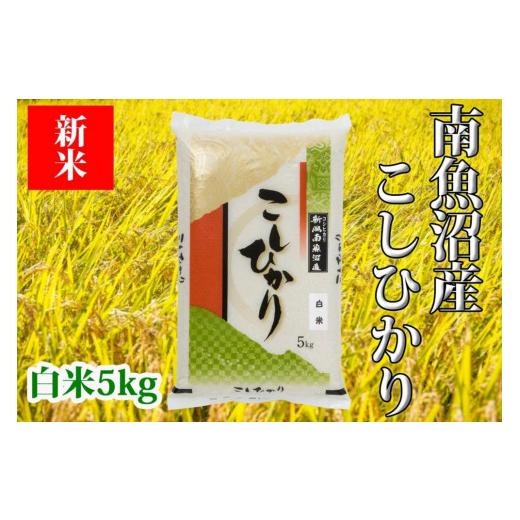 ふるさと納税 新潟県 南魚沼市 南魚沼産コシヒカリ「Sun](白米5kg)×9回