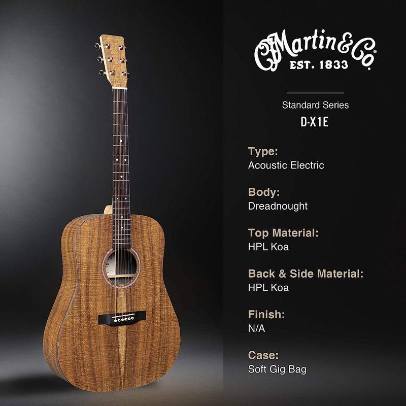 アコースティックギター Martin D-X1E-01