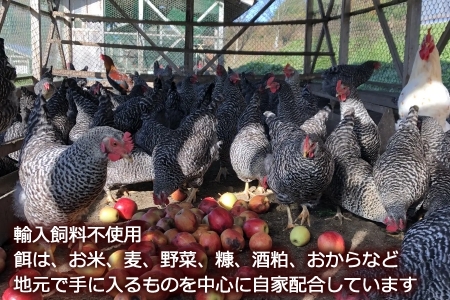 ふぁーむbuffoの平飼いたまご 30個　FA090_001-01