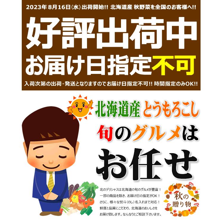 北海道産 訳あり じゃがいも 10kg(品種・サイズお任せ) ジャガイモ 馬鈴薯 野菜 自宅用 家庭用 ギフト不可 北海道 グルメ 送料無料 お取り寄せ