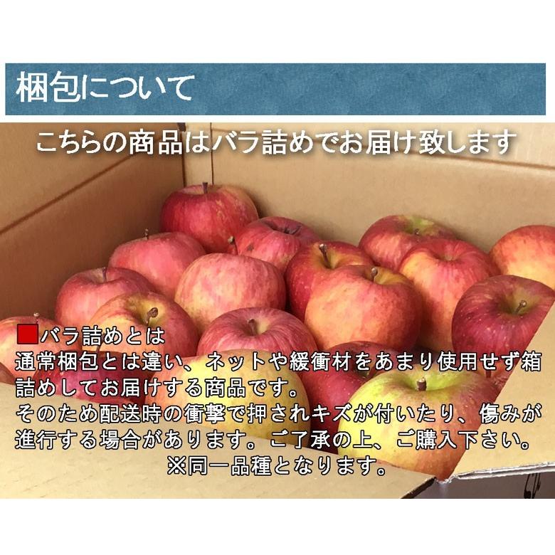 11月上旬〜中旬　サンふじ　訳あり　りんご　減農薬 長野県産 送料無料 5キロ