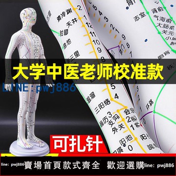【便宜有好貨】針灸穴位人體模型可扎針經絡全身圖小銅人模特大標準十二人形練習