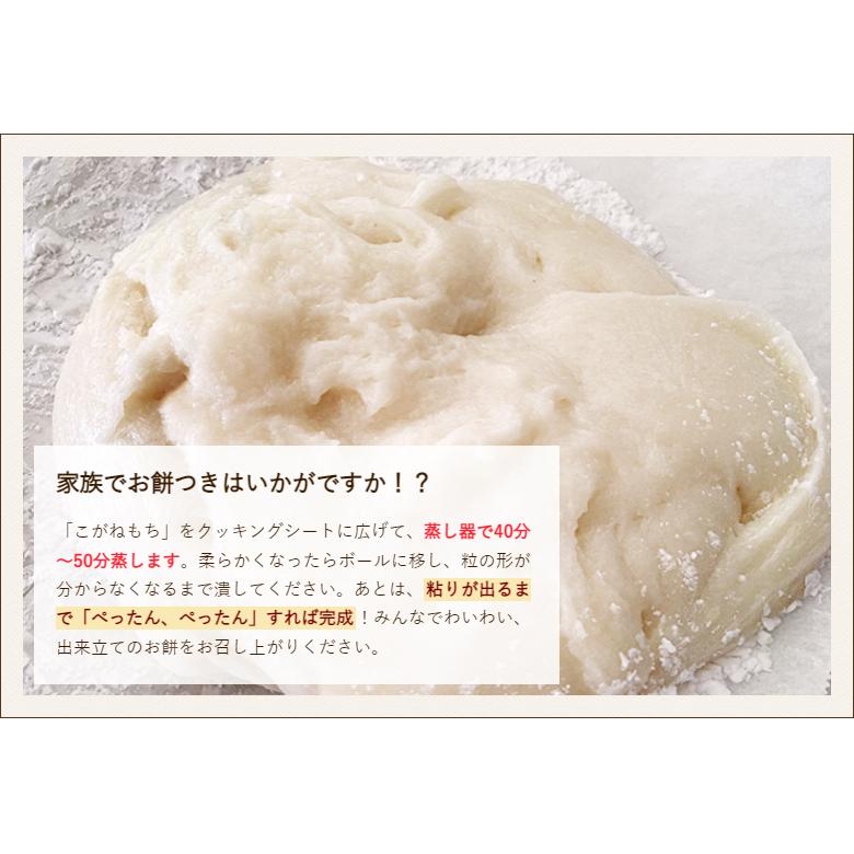 新潟産 こがねもち（もち米）精米2kg（1kg×2袋） 濁川生産組合 のし無料 送料無料