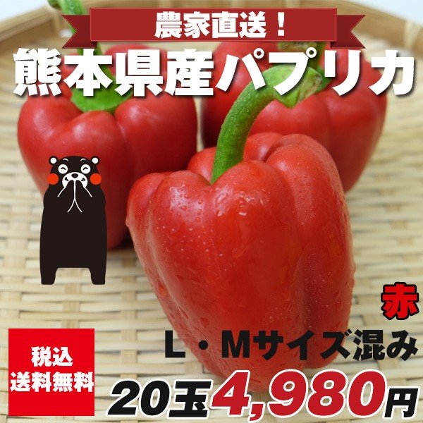 パプリカ赤九州 野菜 熊本 送料無料 新鮮 安全 