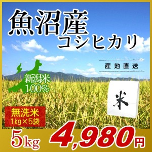 お米 5kg 無洗米 魚沼産コシヒカリ (1kg×5袋) エコ梱包 令和5年産 新米   1kg小分け 米 最高級銘柄 新潟米 ブランド米 新潟 新潟県産 国