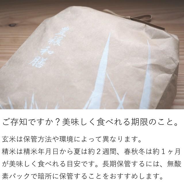 新米 曽根さんが育てた ななつぼし 10kg 5kg×2袋 北海道妹背牛町産 玄米 白米 分づき米 令和5年産 米 お米 送料無料 真空パックに変更可