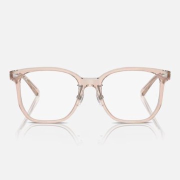 【RayBan 雷朋】方形膠框光學眼鏡(RX5425D-8267 54mm)