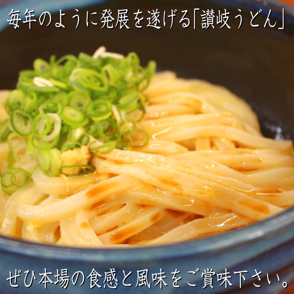 石丸製麺 半生讃岐うどん包丁切り つゆ付 260g×6個