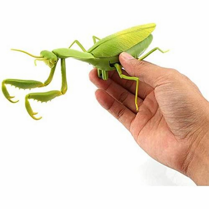 カマキリラジコン Amazon | ラジコン カマキリ 赤外線RC 昆虫 虫 かっこいい