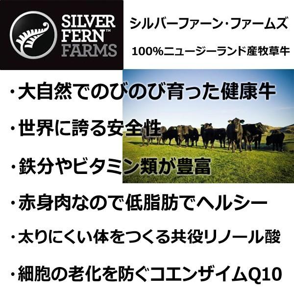 訳あり食品 端っこ 肉 牛肉 牛ヒレカット (サイドマッスル) 300g × 1パック 冷凍 訳あり わけあり ヒレ肉 お試し