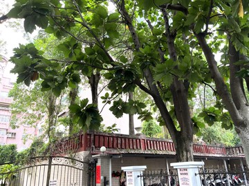 北投文苑露台戶/坡平車/僑茂新生｜台北市北投區翠宜路