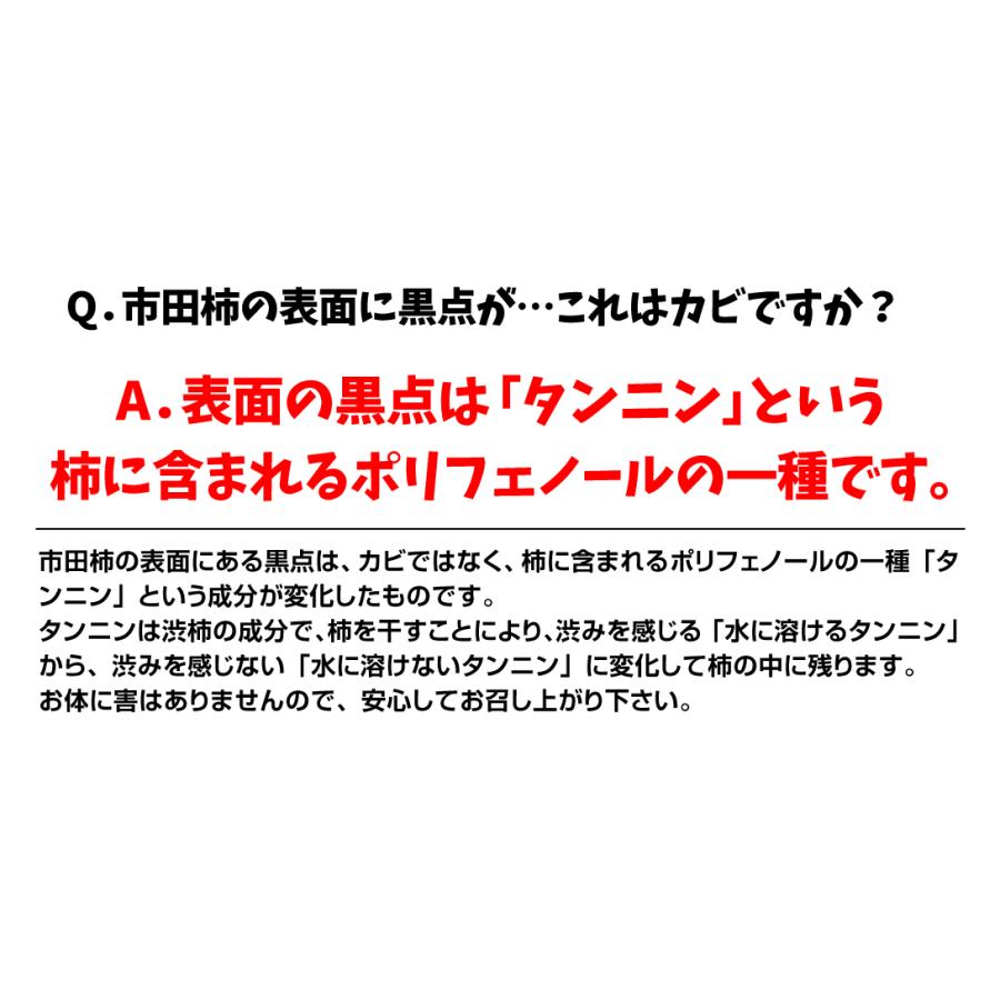 長野産 市田柿 1kg 食品 干し柿 送料無料 ポスト投函