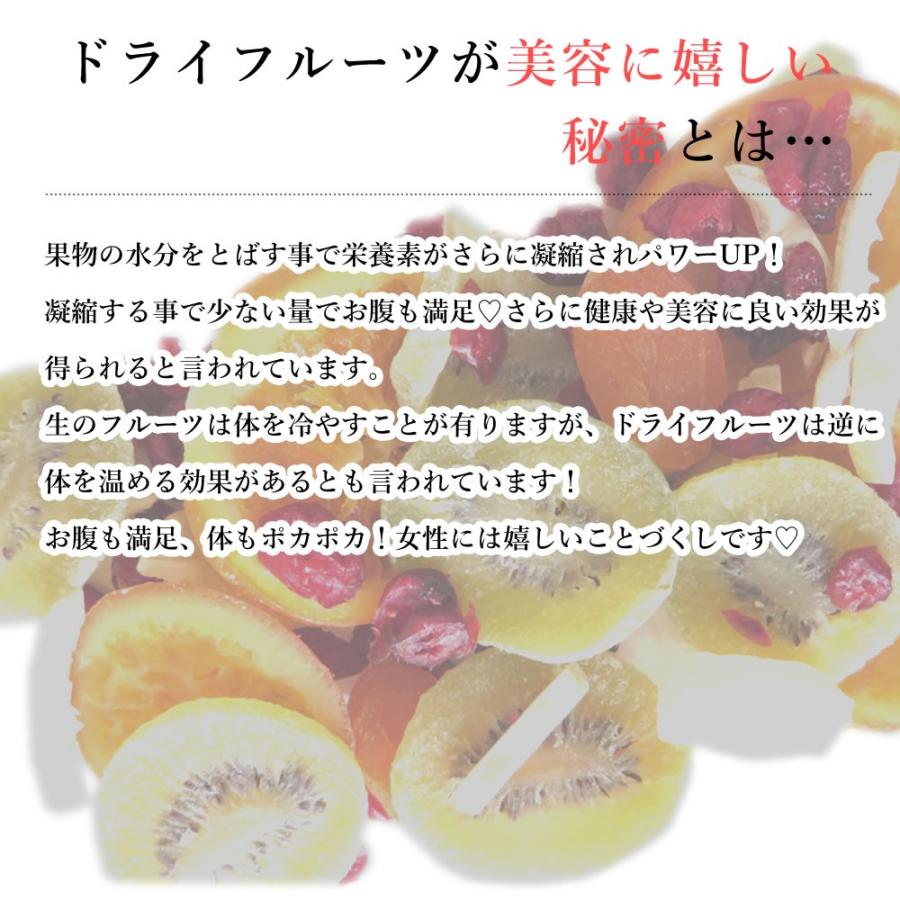 大地の生菓 ドライフルーツ 6種類のプレミアムミックス 500g 送料無料 オレンジ キウイ あんず レモン パイン クリスマス ギフト プレゼント 2023