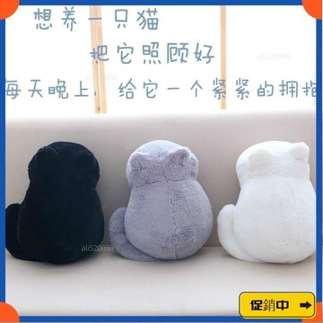 🔥桃園有貨🔥阿信衕款stayreal 咪抱枕 背影 毛絨背景公仔玩偶 YRE3vdrb