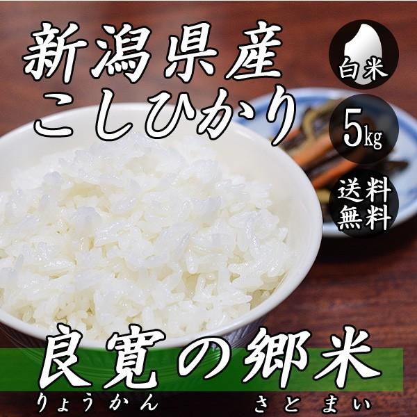 お米 5kg 新潟産 コシヒカリ 良寛の郷米 5kg×1袋 送料無料 令和5年産 米 白米