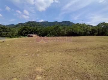 大溪大坪數平坦美地有山泉｜桃園市大溪區草嶺段