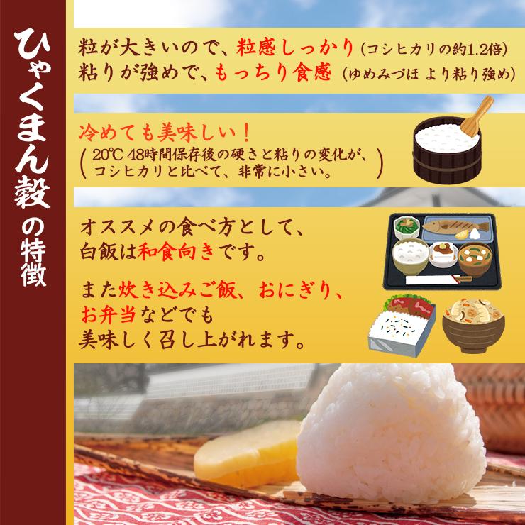 新米 米 ひゃくまん穀 5kg×3袋 15kg 石川県産 白米 令和5年産 送料無料