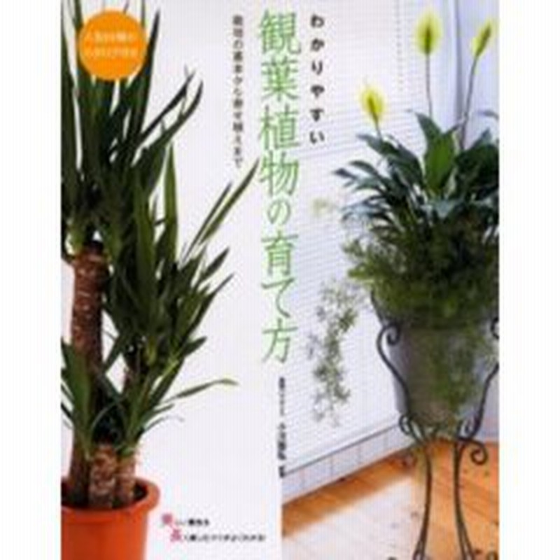 わかりやすい観葉植物の育て方 人気８０種のカタログ付き 栽培の基本から寄せ植えまで 通販 Lineポイント最大get Lineショッピング