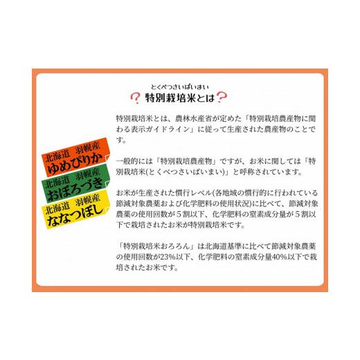 ふるさと納税 北海道 羽幌町 令和5年産　北海道羽幌産特別栽培米ななつぼし5kg