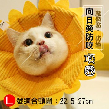 【捷華】伊莉莎白防咬項圈-向日葵款 L號