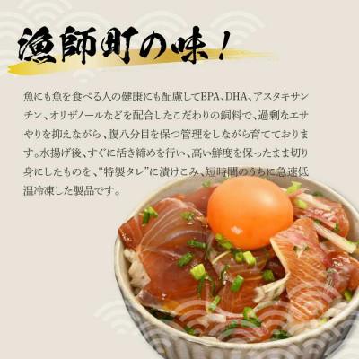 ふるさと納税 土佐市 活き締めブリの醤油漬け丼　60g×4パック