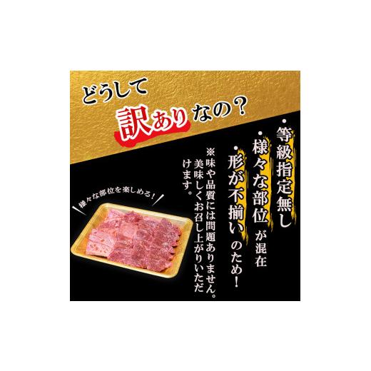 ふるさと納税 鹿児島県 志布志市 鹿児島県産 うしの中山黒毛和牛タレ漬け焼肉1kg?b0-172