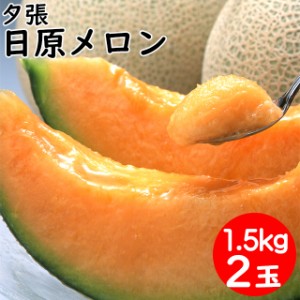 2024年 予約受付中 ギフト メロン 送料無料 北海道夕張産 日原メロン(約1.5kg×2玉)   北海道直送 産地直送 北海道産 夕張 赤肉メロン ゆ