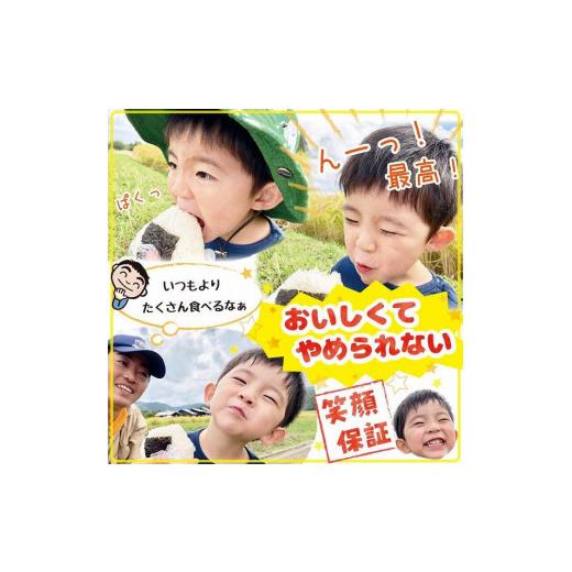 ふるさと納税 新潟県 佐渡市 佐渡島産コシヒカリ 玄米5Kg 特別栽培米