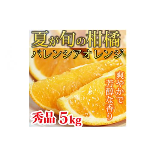 ふるさと納税 和歌山県 美浜町 秀品　希少な国産バレンシアオレンジ  5kg ※2024年6月下旬〜7月上旬頃に順次発送予定