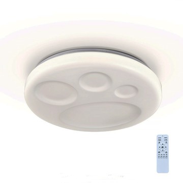 60W 遙控吸頂燈 L01-2111G