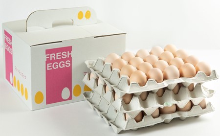 美黄卵さくら 60個（55個＋破損保障5個）（化粧ケース入り）鶏卵 たまご