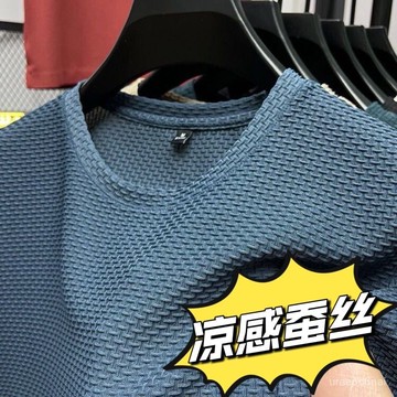 臺灣🙌8H出🔥竹節網眼冰絲透氣男士短袖圓領夏季半袖打底休閒寬鬆新款上衣 1111