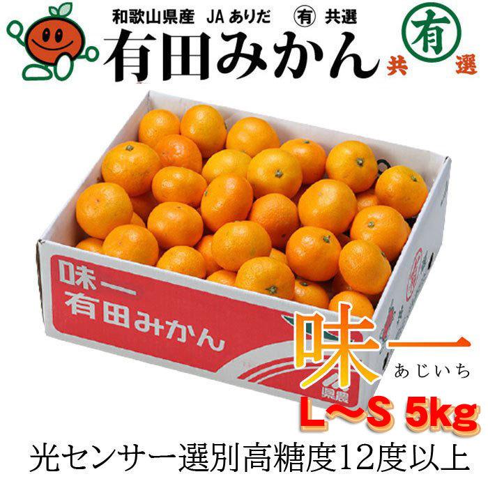 お歳暮 みかん プレミアム有田みかん 味一 L〜Sサイズ 5kg 糖度12度以上 和歌山県産 JAありだ ミカン 蜜柑 ギフト お歳暮