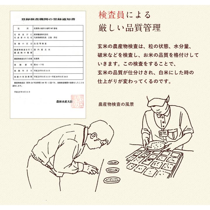 新米　令和5年産　米 お米 20kg 送料無料 上場コシヒカリ 佐賀県産　令和5年度 5kg×4袋 こしひかり