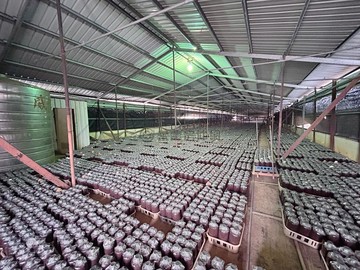 ☀️新社農地香菇寮☀️｜台中市新社區七分段水井子小段